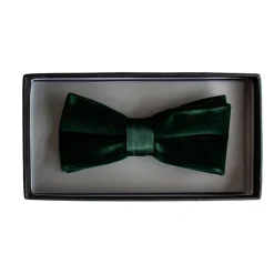 Zazzi Velvet Bow Tie - Green
